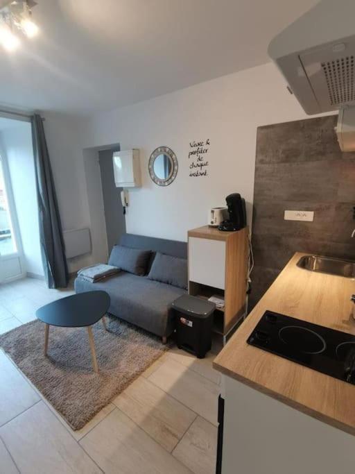 Charmant Appartement Au Calme Saint-Georges-de-Luzençon エクステリア 写真