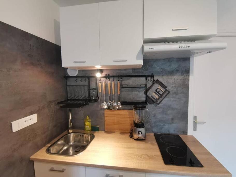 Charmant Appartement Au Calme Saint-Georges-de-Luzençon エクステリア 写真